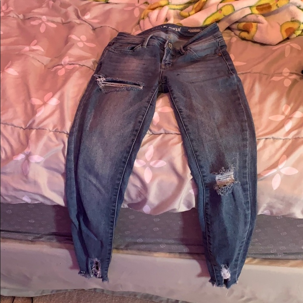 wallflower 0 jeans
